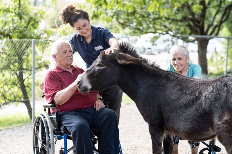 Dipl. Pflegefachperson HF mit RAI-Verantwortung Dipl. Pflegefachperson HF mit RAI-Verantwortung